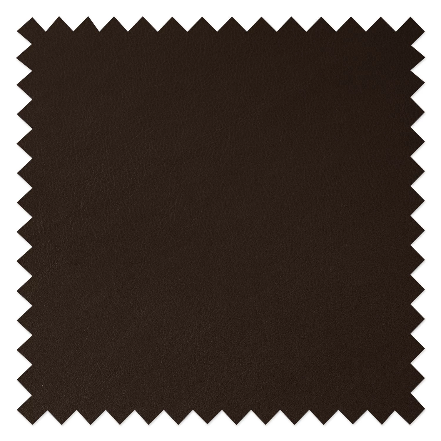 Studio Copenhagen Polsterstuhl Wilga V (2er-Set) - Echtleder 7 Studio Copenhagen Polsterstuhl Wilga V (2er-Set) - Echtleder – Bild 7