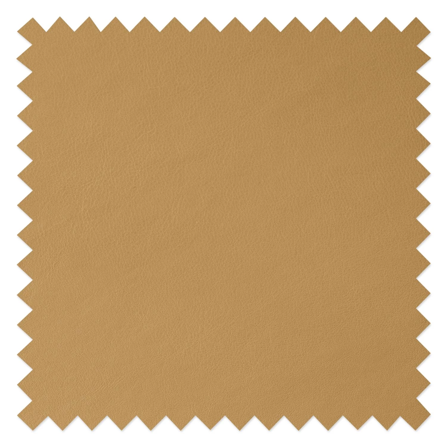 Studio Copenhagen Polsterstuhl Wilga IV (2er-Set) - Echtleder 7 Studio Copenhagen Polsterstuhl Wilga IV (2er-Set) - Echtleder – Bild 7