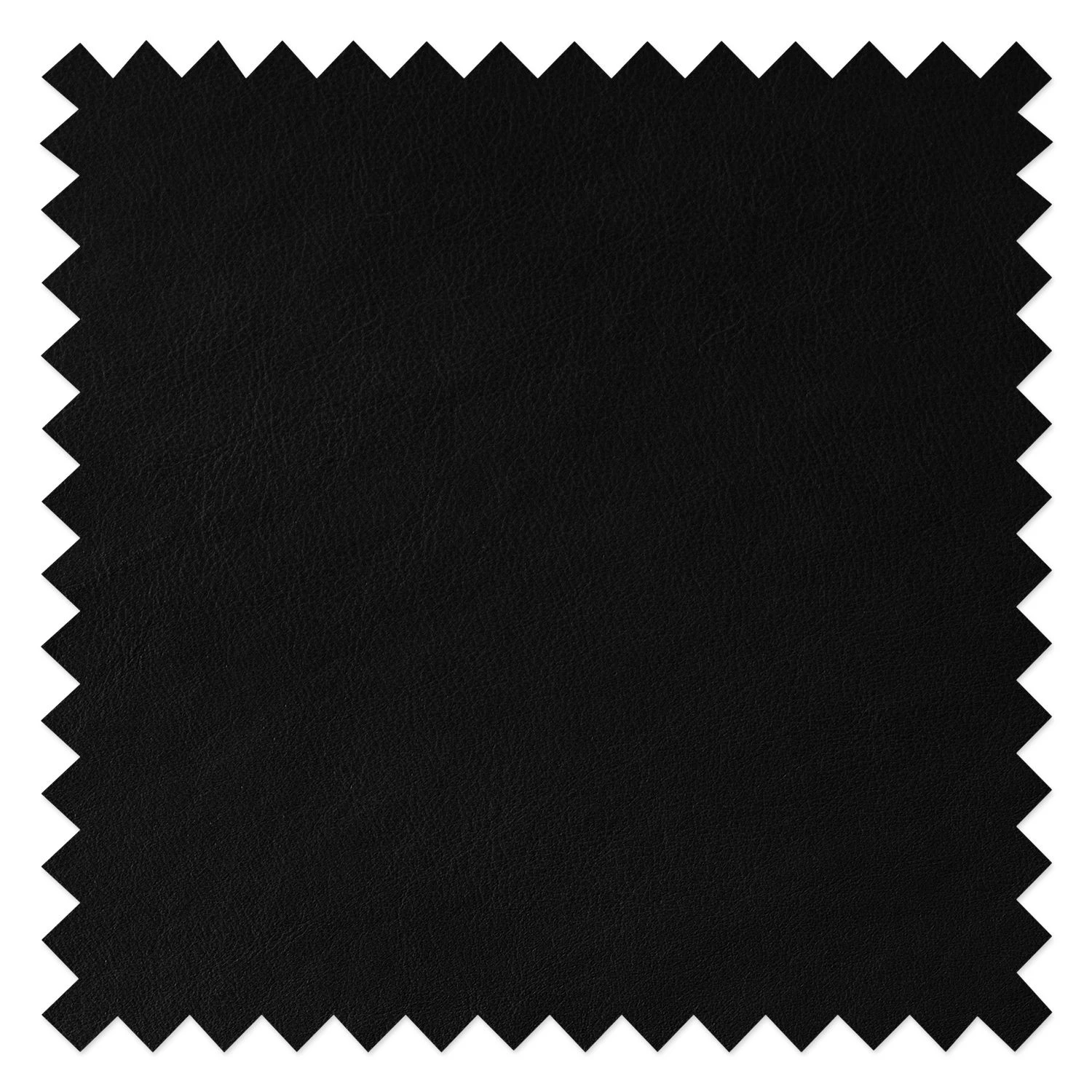 Studio Copenhagen Polsterstuhl Wilga IV (2er-Set) - Echtleder 7 Studio Copenhagen Polsterstuhl Wilga IV (2er-Set) - Echtleder – Bild 7