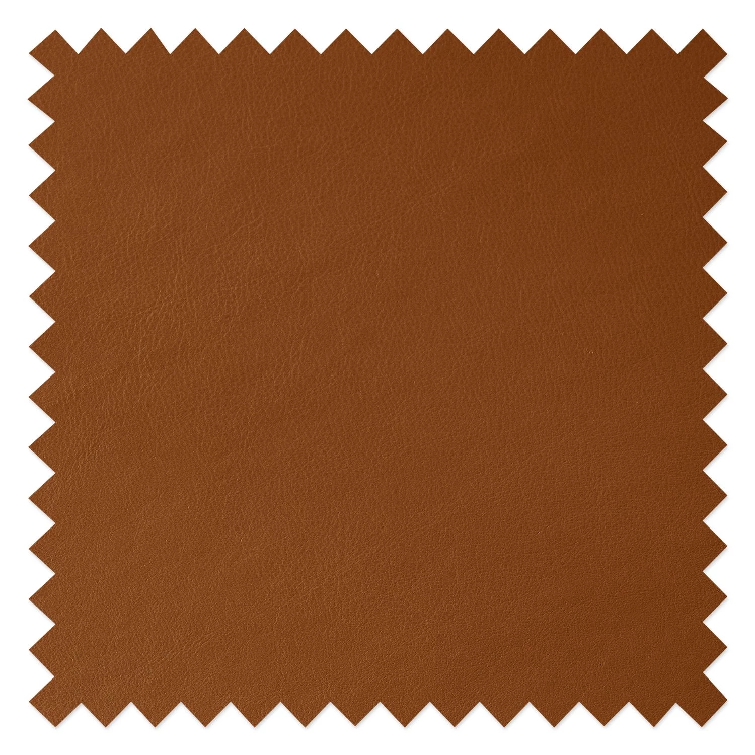 Studio Copenhagen Polsterstuhl Wilga IV (2er-Set) - Echtleder 8 Studio Copenhagen Polsterstuhl Wilga IV (2er-Set) - Echtleder – Bild 8