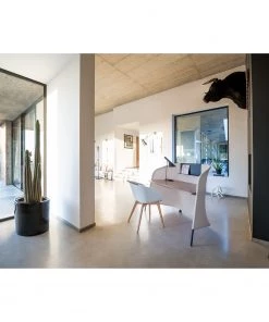 Sedus Armlehnenstuhl on spot IV - Weiß / Buche Hell -Deutschland Stühle Verkaufs-Shop 1000212431 200507 14155300227 MOOD DETAILS P000000001000212431 mood