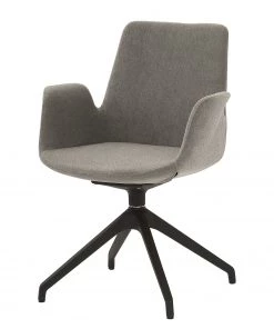 Mayer Sitzmöbel Armlehnenstuhl myHELIOS - Hellgrau