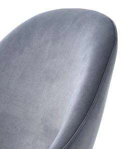 Red Living Esszimmerstuhl Cheia II - Samt / Eisen - Hellgrau / Schwarz -Deutschland Stühle Verkaufs-Shop 1000303609 211117 16474000140 DETAILS P000000001000303609