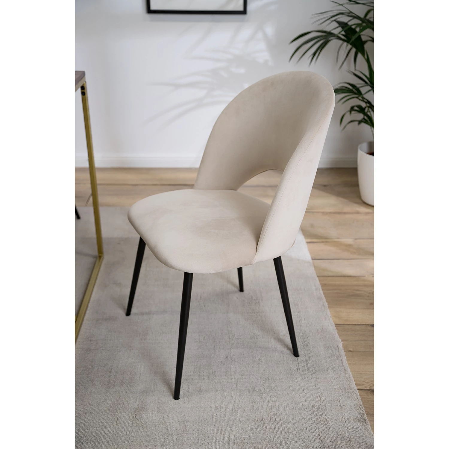 Jack & Alice Polsterstuhl Salome - Creme - 2er Set 3 Jack & Alice Polsterstuhl Salome - Creme - 2er Set – Bild 3
