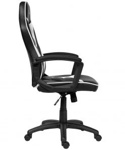 Ebuy24 Paracon Squire Gaming - Glas Weiß -Deutschland Stühle Verkaufs-Shop 2cd379eddf54451d8985d9b07f76c811