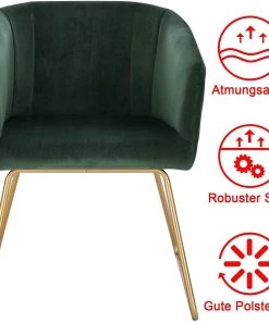 Woltu Esszimmerstuhl Areeya (2er Set) - Grün -Deutschland Stühle Verkaufs-Shop 83c785e71a214965a3d7f854b56a3693