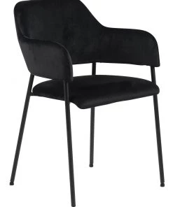 Ebuy24 Lisa Esszimmerstuhl - Schwarz